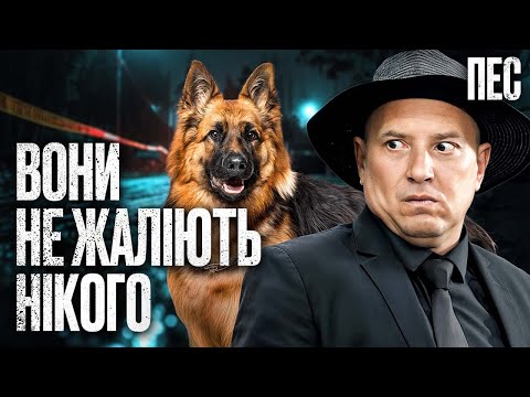 Видео: Божевільні злочинці на полюванні | СЕРІАЛ ПЕС | НАЙКРАЩІ ДЕТЕКТИВИ | ДЕТЕКТИВНІ СЕРІАЛИ