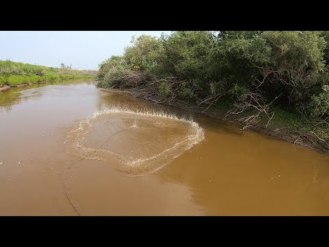 Видео: ВОТ ЭТО РЫБАЛКА!!! ВОДЫ В РЕКЕ ПО КОЛЕНО А РЫБЫ В НЕЙ НЕМЕРЕНО!!! РЫБА НА КАЖДОМ ЗАБРОСЕ...