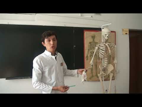 Видео: Антомия. Суйектер туралы ілім