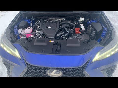Видео: Lexus NX 350 2.4 Turbo - новая сила Лексус 2022. Тяга и обороты на трассе с обгонами нагрузкой