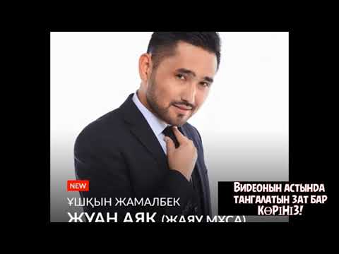 Видео: Ұшқын Жамалбек - Жуан аяқ