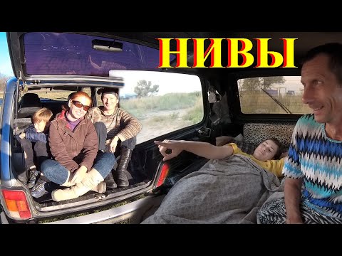 Видео: НИВА 3Д и 5Д Сравнение Ночёвка Расход Топлива Все варианты. Какую НИВУ купить Поломки Niva за 11 лет
