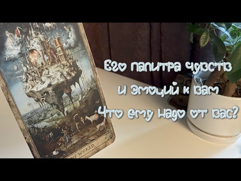 Видео: Его палитра чувств и эмоций к вам. Что ему надо от вас?