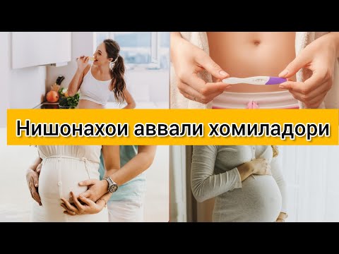 Видео: Нишонахои хомиладори. Тарзи аник кардани хомиладори #хаётисолим #хомиладори