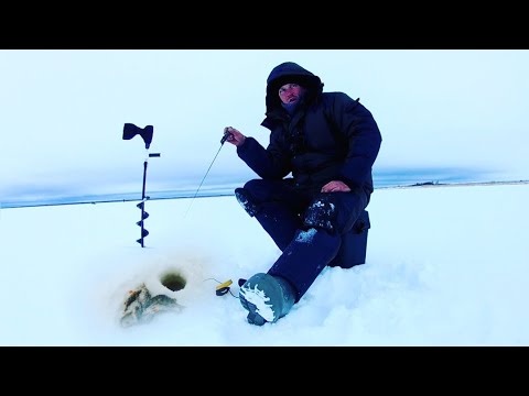 Видео: Ладога. Креницы. Ловля окуня на километрах.Вот оно глухозимье в конце января.