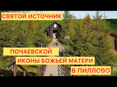 Видео: Святой источник Почаевской иконы Божьей Матери в Пиллово.