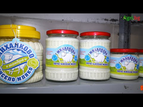 Видео: Мандра Михалково: Как се „раждат“ хубавите млечни храни от овче мляко