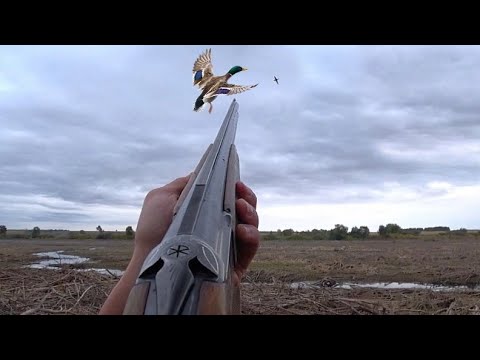 Видео: ВЕСЬ СТВОЛ В САЖЕ! Охота на утку с подхода и патронами на ДЫМНОМ ПОРОХЕ.