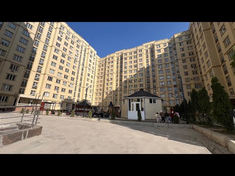 Видео: Юго-восток Арзан псо. 0558883030.нуркелди баасын ээси айтат