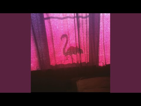 Видео: маршрут 54, маршрут 3