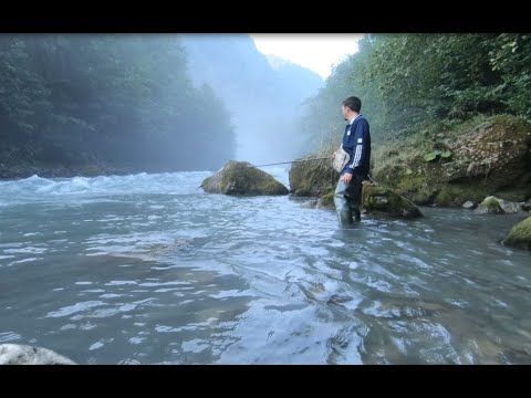 Видео: ОСЕННИЙ ЖОР ФОРЕЛИ | В ГОРАХ ИНГУШЕТИИ