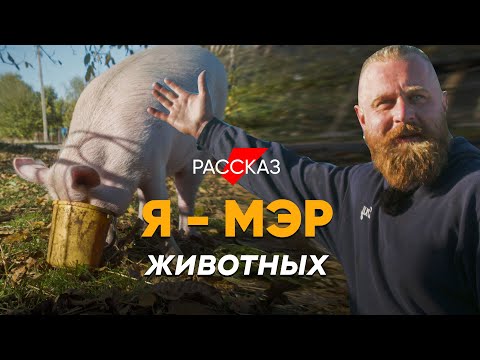 Видео: Когда соседи козлы: #Рассказ о необычной деревне для животных