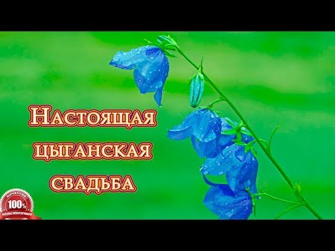 Видео: ЦЫГАНСКИЕ ТАНЦЫ. Свадьба Коли и Алёны. Часть 9