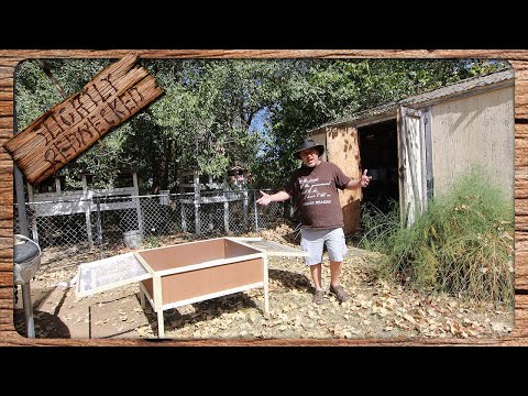 Видео: Лучший ли это брудер для перепелов?