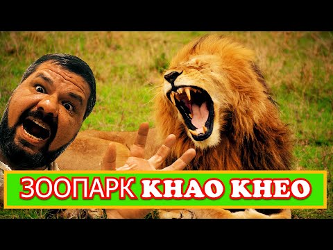 Видео: Зоопарк Кхао Кхео/Слоны/Бегемоты/Жирафы