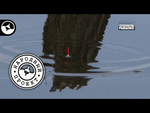 Видео: Ужение на поплавочную удочку. Плотва | Народный проект