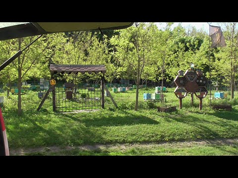 Видео: Супер - пакети від Івана Фабро