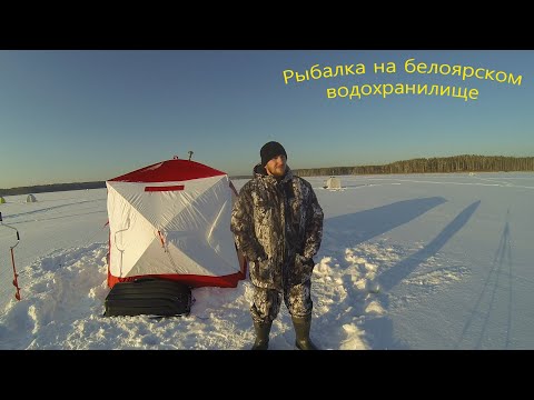 Видео: Зимняя рыбалка. Белоярское водохранилище. "Залетная" плотва. Медведь куб 4. Теплообменник УРАЛ-М.