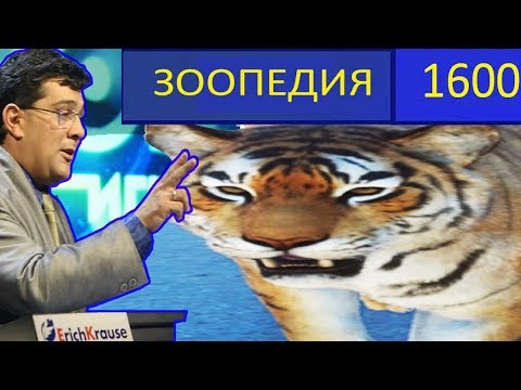 Видео: ▼Купил зоопарк за 1600 рублей в Steam