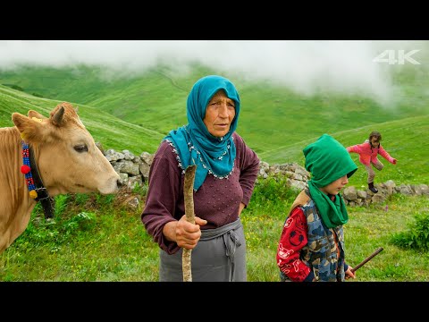 Видео: Горное приключение маленьких гостей | Документальный фильм