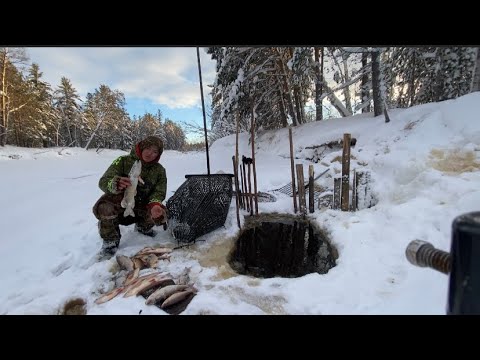 Видео: Хитрая по задумке рыбалка 👀 Пользуйтесь ДРУЗЬЯ!