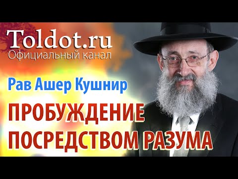 Видео: Рав Ашер Кушнир. Семь причин преимущества пробуждения посредством разума. Обязанности сердец 41