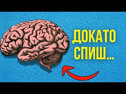 Видео: 20 НЕЩА, които тялото ти прави докато СПИШ!