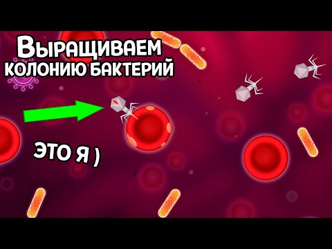 Видео: ВНУТРИ ЧЕЛОВЕКА ВЫРАЩИВАЕМ КОЛОНИЮ МИКРООРГАНИЗМОВ