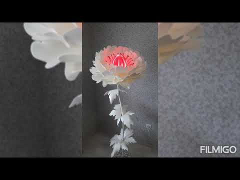 Видео: Анемоны из изолона !!!