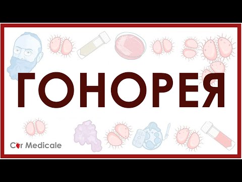 Видео: Гонорея - возбудитель (Neisseria gonorrhoeae), симптомы