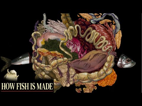 Видео: РЫБНАЯ ДУРКА ► How Fish Is Made ► ПРОХОЖДЕНИЕ