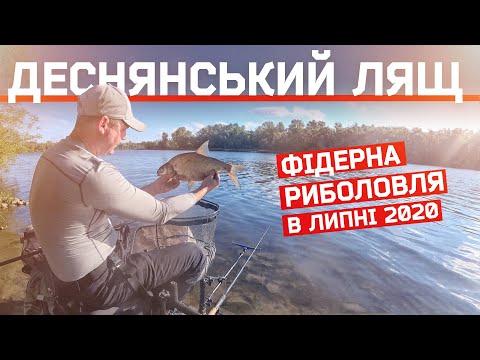 Видео: Лящовий рай на Десні. Рибалка на фідер в липні 2020.