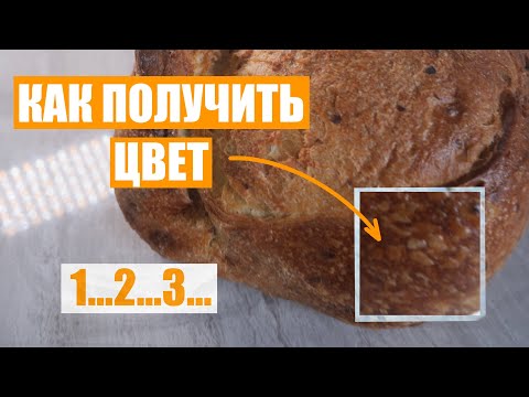 Видео: ЯРКИЙ ЦВЕТ У ХЛЕБА. КАК ПОЛУЧИТЬ.