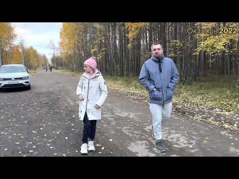 Видео: #Ухта …едем к самой высокой в мире голове Ленина…Республика Коми