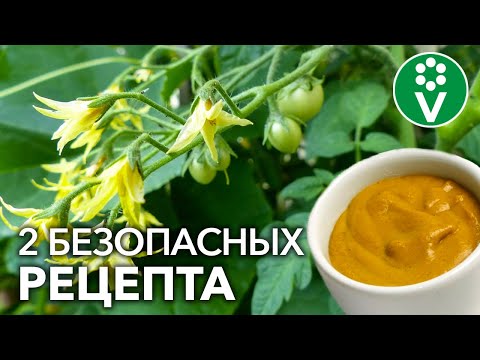 Видео: СРОЧНО СДЕЛАЙТЕ ЭТУ ОБРАБОТКУ, ЕСЛИ ВАШИ ТОМАТЫ ЦВЕТУТ И ЗАВЯЗЫВАЮТ ПЕРВЫЕ ПЛОДЫ