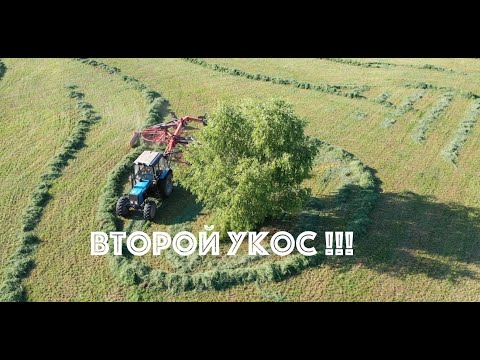 Видео: Второй укос клевера и люцерны   2021