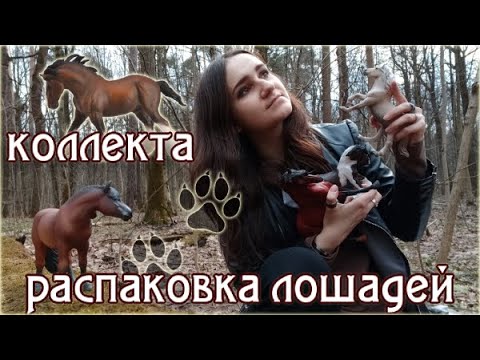 Видео: новинки ЛОШАДИ КОЛЛЕКТА в лесу