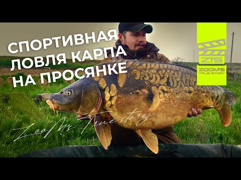 Видео: Ловля карпа на соревнованиях - Просянка собирает друзей 2019