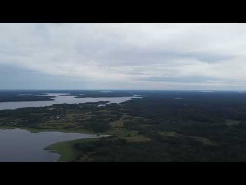 Видео: Селигер, Березовский плес, 1 август 2022 г.