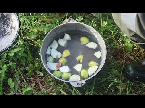 Видео: КУХНЯ ОТШЕЛЬНИКА!!!!! Компот на костре и запаренный геркулес.