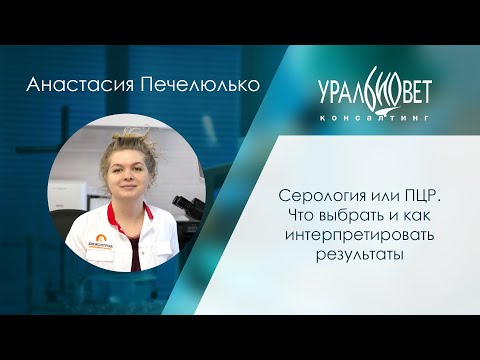 Видео: Серология или ПЦР. Что выбрать и как интерпретировать результаты. Анастасия Печелюлько
