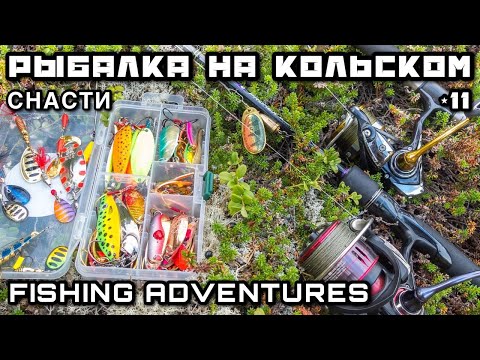 Видео: Рыбалка на Кольском Полуострове СНАСТИ | Кулинарный Челлендж в ТАЙГЕ Печем ХЛЕБ и Картофельный САЛАТ