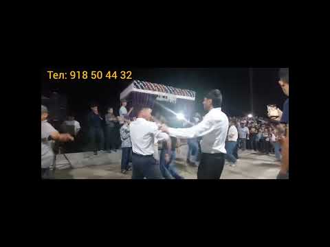Видео: Дустмурод Холов бо шогирдаш Ҳокими Нурободи