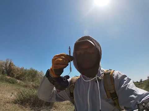 Видео: 19 мая 2025 г.