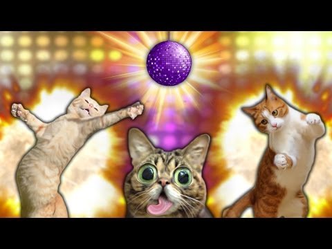 Видео: ТАНЦОРЫ БЕСПРЕДЕЛЬЩИКИ - Happy Wheels #55