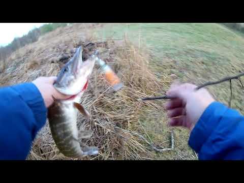 Видео: Рыбалка 2020 в Ленинградской области. Новогодняя щука на спиннинг . 2 января река Луга.