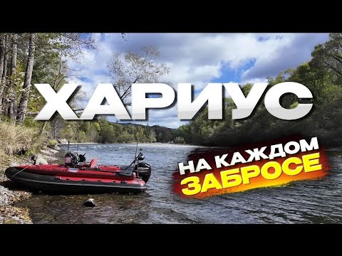 Видео: Каждый заброс - ХАРИУС! Рыбалка на хариуса осенью в дикой глуши Уссурийской тайги!