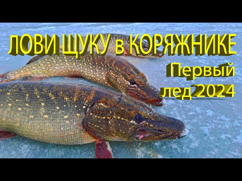 Видео: 🔥 Поймал ХОЗЯЙКУ КОРЯГИ! Первый лед 2024, щука на жерлицы, зимняя рыбалка в коряжнике 🔥