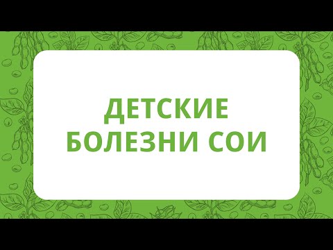 Видео: Детские болезни сои | Технология выращивания сои