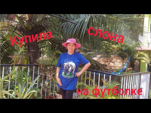 Видео: 9.Прогулка по базарчику.Купила слона🐘 на футболке 😁😍